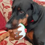 Pamela Painter - Facebook