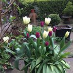 Pamela Painter - @painter_pamela26 - Instagram
