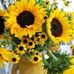 Pamela Painter - Facebook