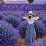 Pamela Perricci - @pamelaperricci - Instagram
