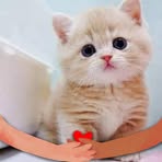 Pamela Peter - Facebook
