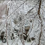 Pamela Pine - Facebook
