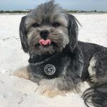 Pamela Pomeroy - @pamelasmgpm - Instagram