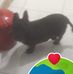 Pamela Royle - Facebook