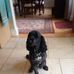 Pamela Ruggles - Facebook