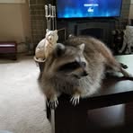 Pamela Rush - Facebook