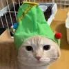 PamelaRush - @pamelarushjshbhri - TikTok