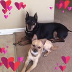 Pamela Rust - Facebook