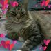 Pamela Saavedra - Facebook