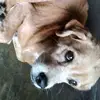 pamela saavedra - @pamela.saavedra7 - TikTok