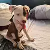 Pamela Saavedra Garcia - @pamelasaavedragar - TikTok