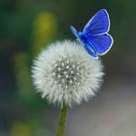 Pamela Samuelson - @parisanna2 - Instagram