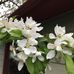 Pamela Ann McDowell Saylor - Facebook