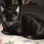 Pamela Sipes - @pamelasipes63 - Instagram