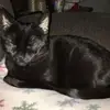 Pamela Sipes - @pamela.sipes - TikTok
