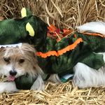 Pamela Sisson - @pamela.sisson.14 - Instagram