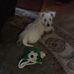 Pamela Slagle - Facebook