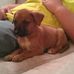 Pam Sleeth Lambert - Facebook
