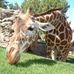 Pamela Smiley - Facebook
