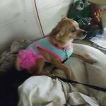 pamelasmiley - @pamelasmiley9 - Instagram