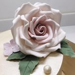 Pamela Spearman - @pam.spearman - Instagram