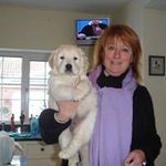 Pamela Stanton - @pamela.stanton.31 - Instagram