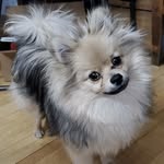 Pamela Rockstead - @pamelarockstead - Instagram