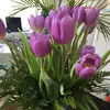 Pamela Steeves628 - @pjoymom - TikTok