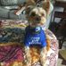 Pamela Steeves - Facebook