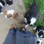 Pamela Stiles - @stiles6005 - Instagram
