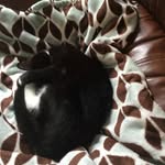 Pamela Strader - @pamela.strader.9 - Instagram