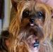 Pamela Strader Kennedy - Facebook