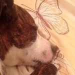 Pamela Louise Stringer - @samanthabarrett2017 - Instagram