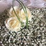Pamela Stringer-Smith - @pamelastringersmith - Instagram