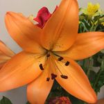 @pamelastringer01 - Instagram