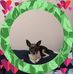 Pam Stringfellow - Facebook