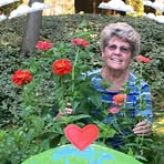 Pamela Strohmeyer - Facebook