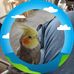 Pamela Strunk - Facebook