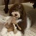 Pamela Thayer - Facebook
