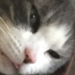 Pamela Thayer - @pamela.thayer.58 - Instagram
