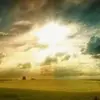 PamelaThomas - @amirmjbv4z9 - TikTok