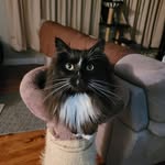 Pamela Thorne - @pamela.thorne.56 - Instagram