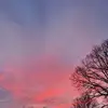 pamelawarringtonthorne - @pamelawarringtonthorne - TikTok