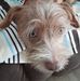 Pamela S Trice - Facebook