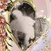 Pamela Trim - Facebook