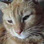 Pamela Tyler Tuttle - @pa_tut - Instagram