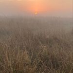 Pamela Vail - @augustteacher - Instagram