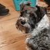 Pamela Westfall - Facebook