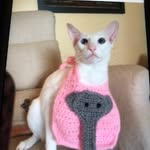Pamela westfall - @westfall505 - Instagram