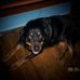 Pamela Wheaton - Facebook
